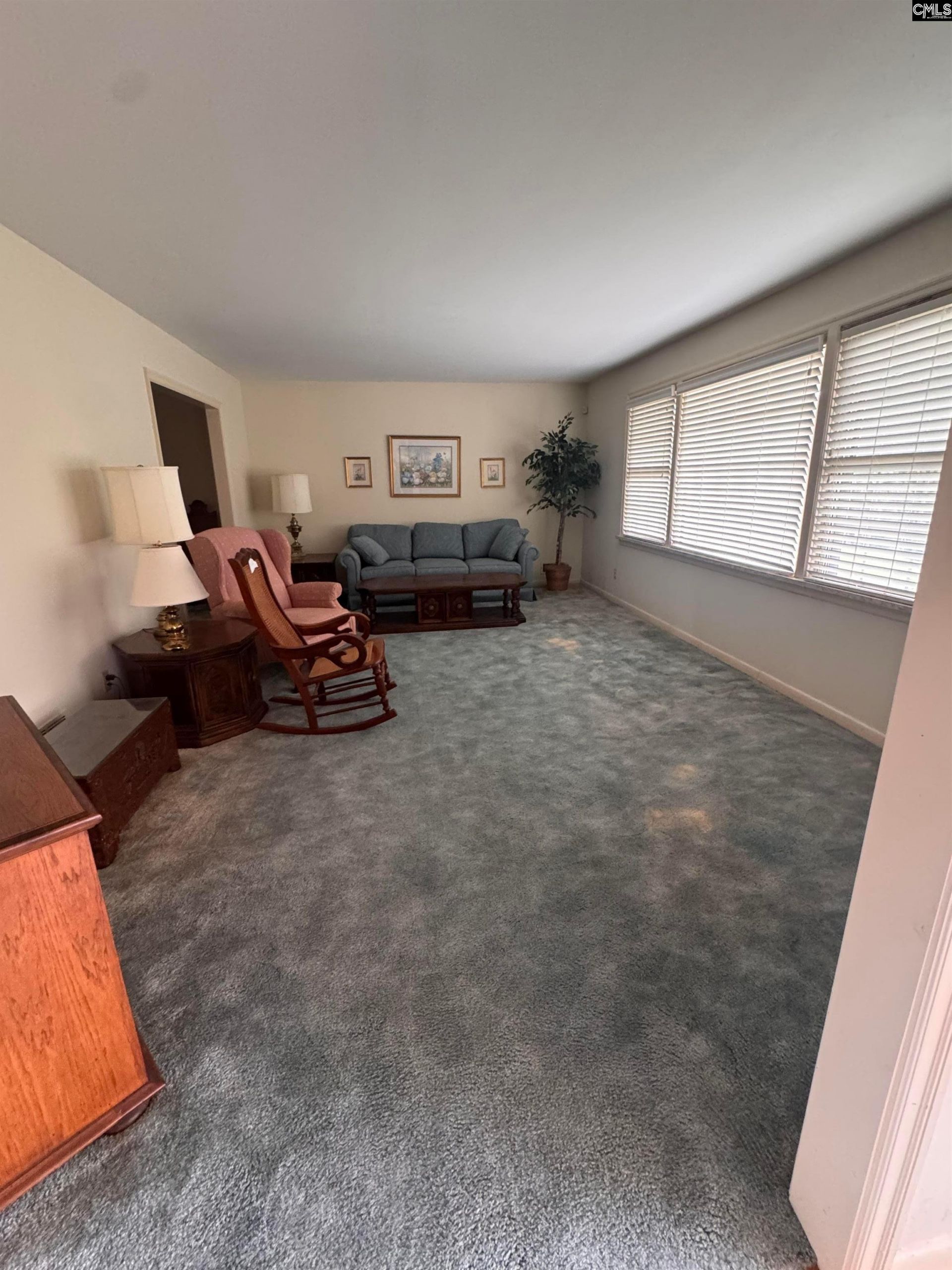 7217 Mountainbrook Drive  Photo 4
