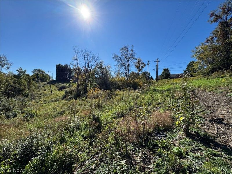 00000 Willow Grove Road, Saint Clairsville, OH 43950 Photo 12