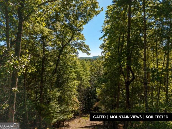 LOT 62 Ridge Drive, Unit 62, Blue Ridge, GA 30513