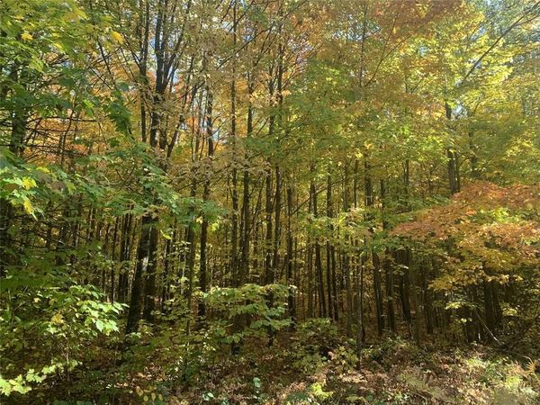 119 +/- A Off Forest Rd 167, Glidden, WI 54527