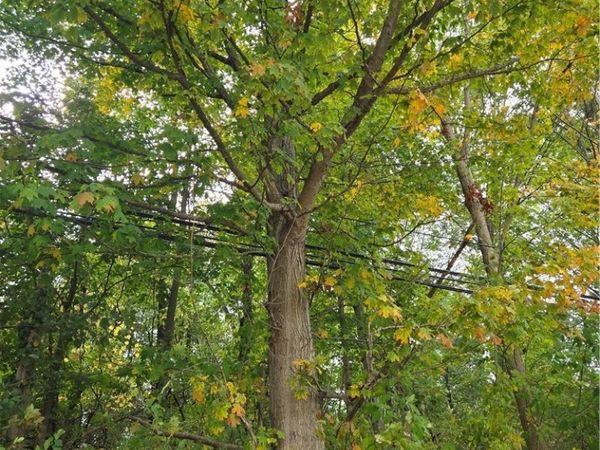 Gar Highway , Montville, OH 44064
