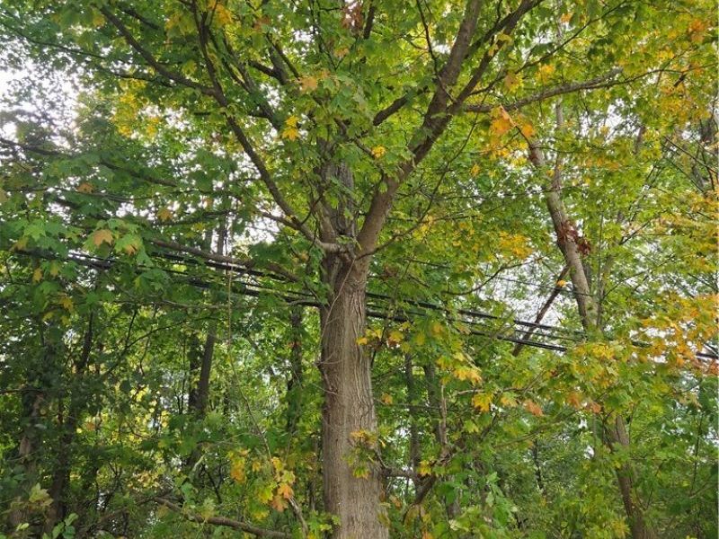 Gar Highway, Montville, OH 44064 Photo 1