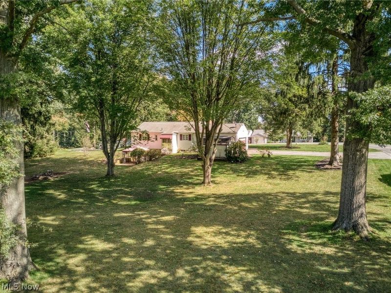1484 Elm Grove Avenue, Akron, OH 44312 Photo 46