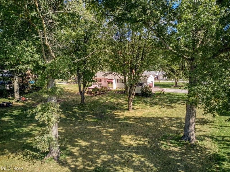 1484 Elm Grove Avenue, Akron, OH 44312 Photo 47