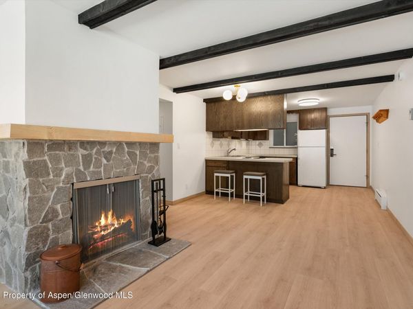 940 Waters Avenue, Unit #303, Aspen, CO 81611