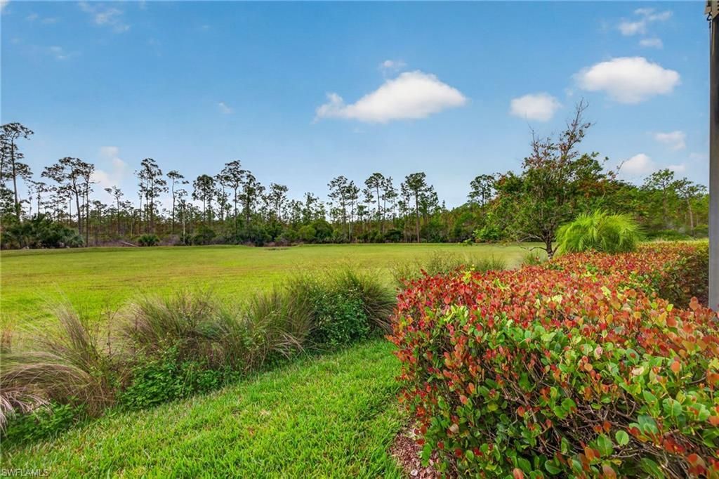 21007 Bella Terra Blvd, Estero, FL 33928 Photo