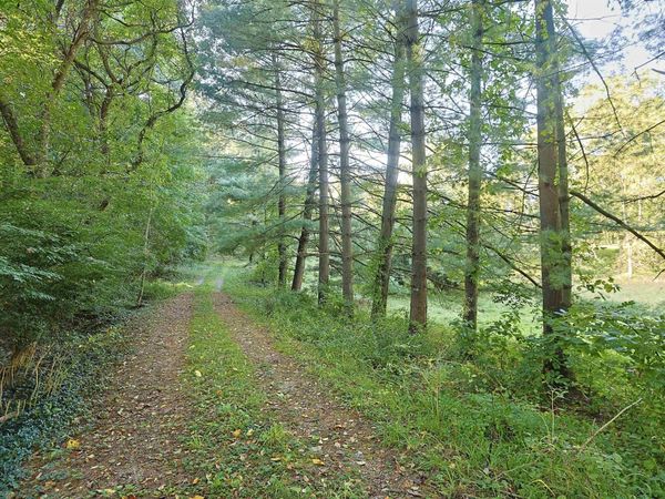 51775 Hickory Road, Granger, IN 46530
