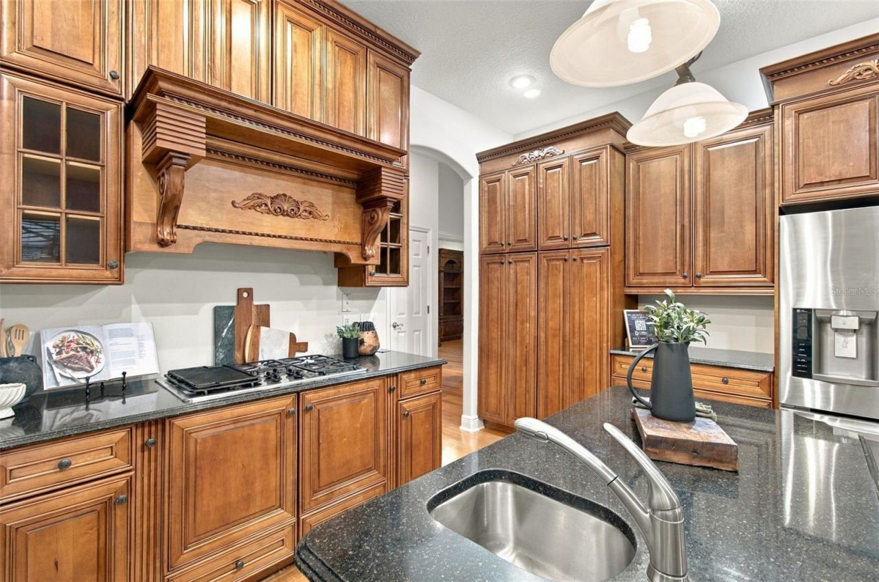 816 Citrus Wood Lane, Valrico, FL 33594 Photo