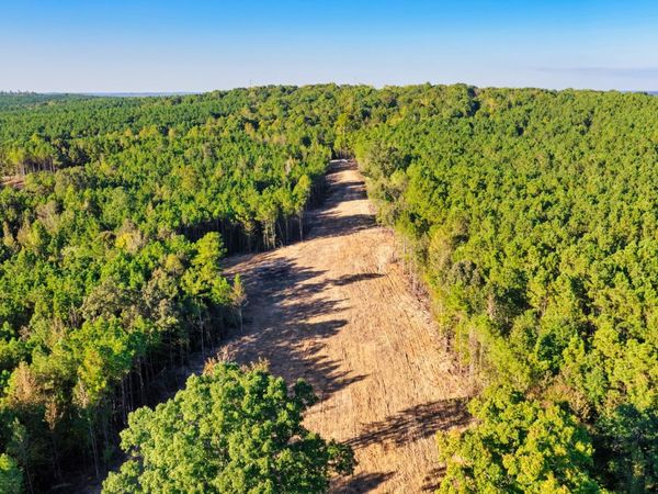 0 Williams Grove Road , Unit 1, Camden, TN 38320