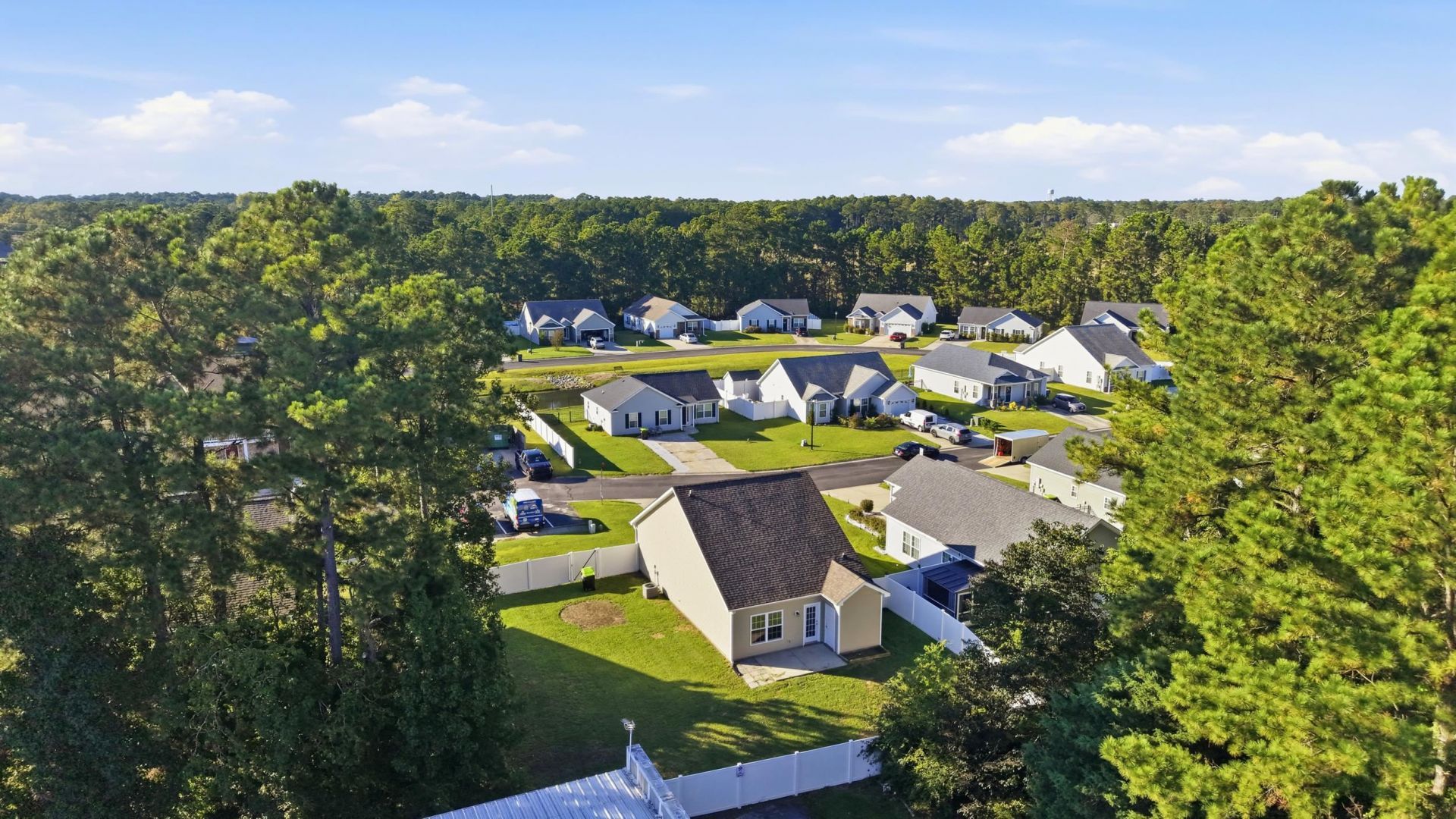 3669 Clay Pond Village Ln. Photo 41