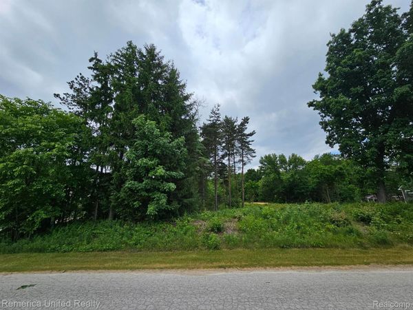 10512 OAK FOREST Drive, Green Oak Township, Mi 48178