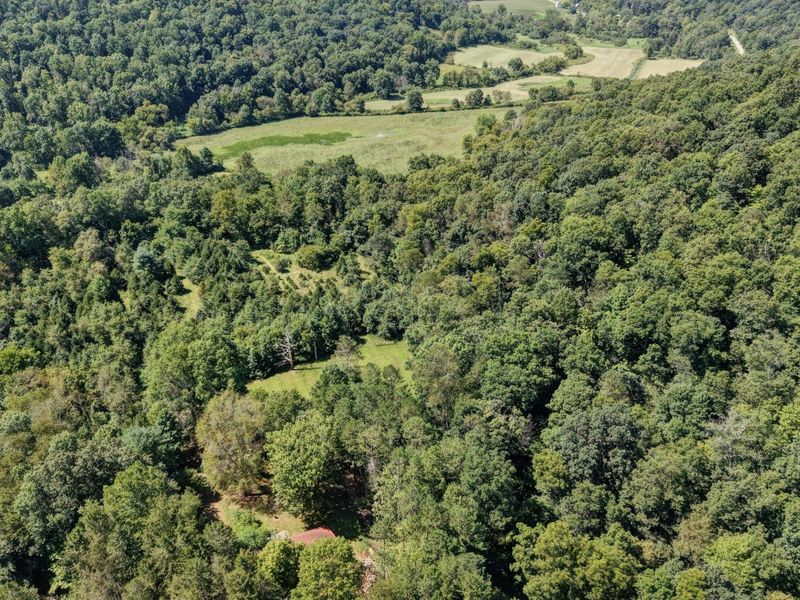 33111 Township Road 490 , Killbuck, OH 44637 Photo 62