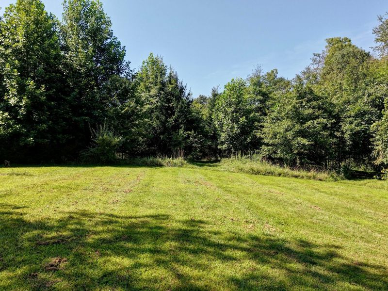 33111 Township Road 490 , Killbuck, OH 44637 Photo 67