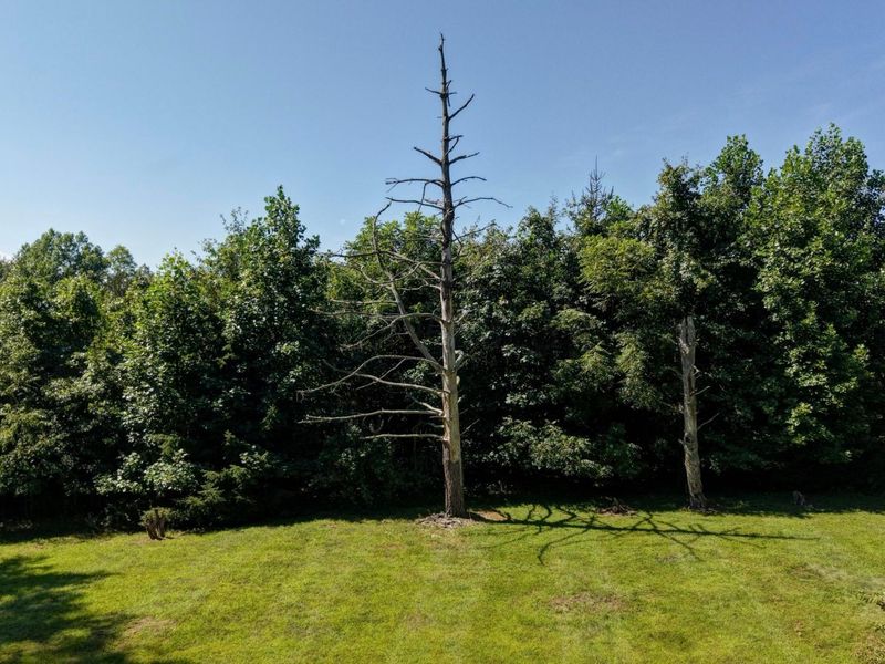 33111 Township Road 490 , Killbuck, OH 44637 Photo 72