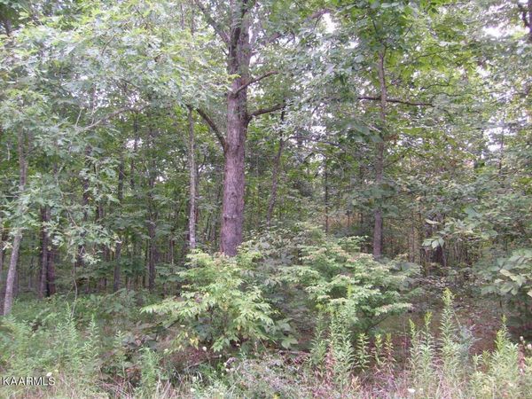 2023 Coweta Drive, Crossville, TN 38572