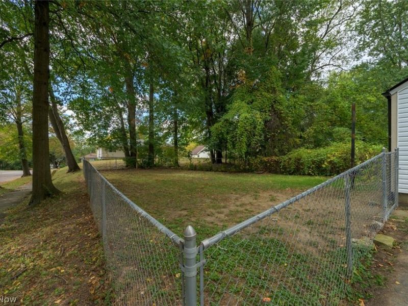 1316 Ottawa Avenue, Akron, OH 44305 Photo 4