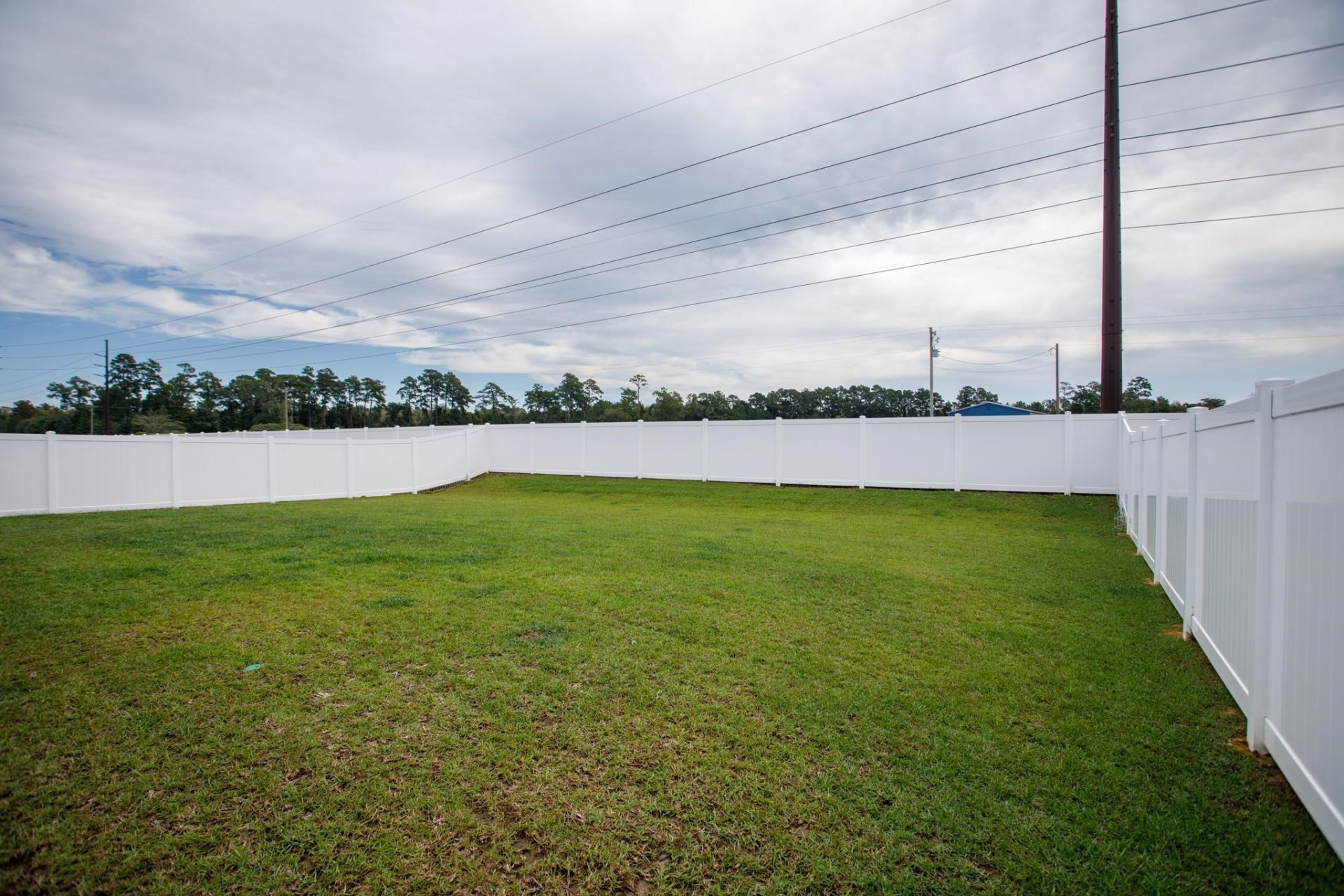 153 Homestead Way Photo 31