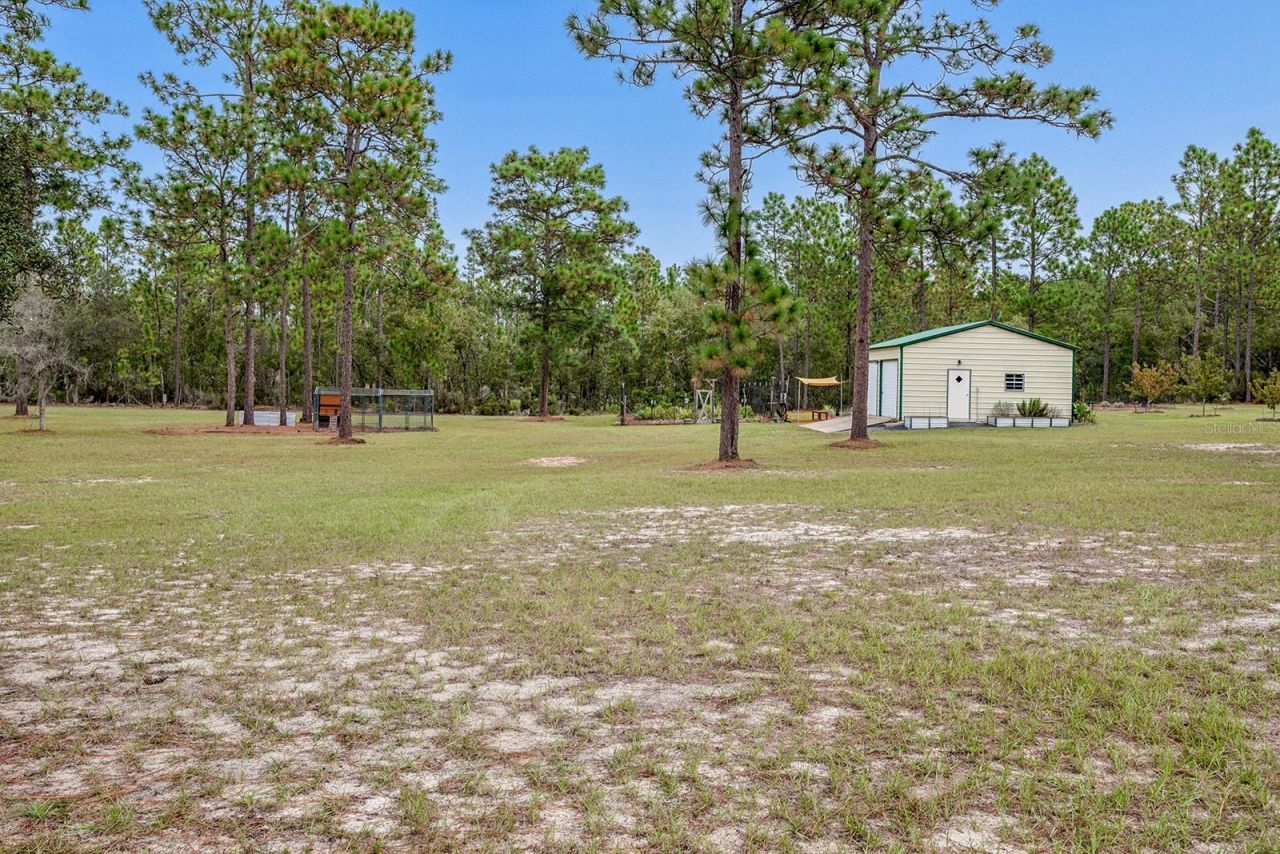 1730 NE 120th Avenue, Williston, FL 32696 Photo