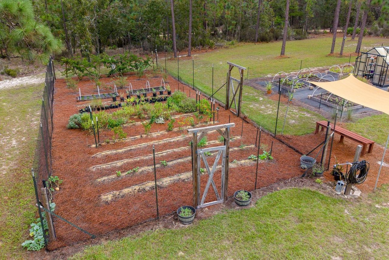 1730 NE 120th Avenue, Williston, FL 32696 Photo