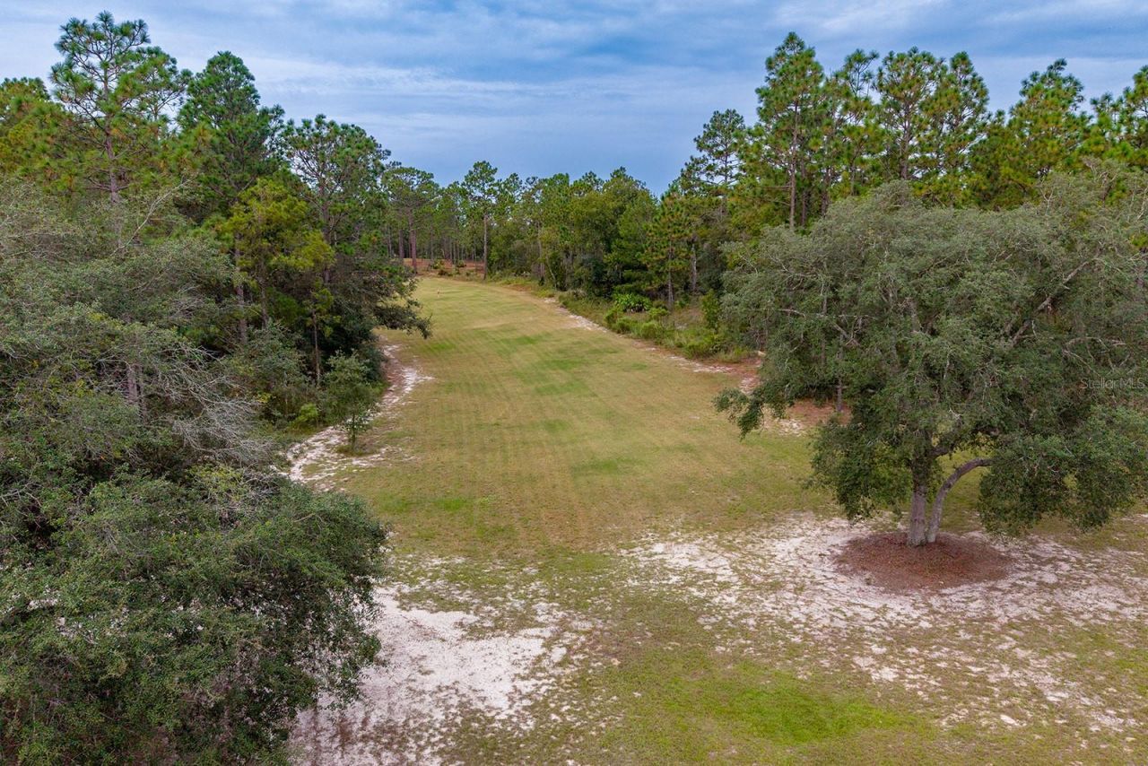 1730 NE 120th Avenue, Williston, FL 32696 Photo