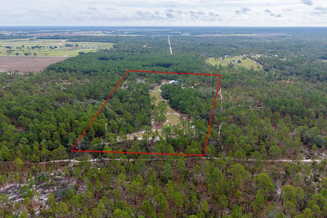 1730 NE 120th Avenue, Williston, FL 32696 Photo