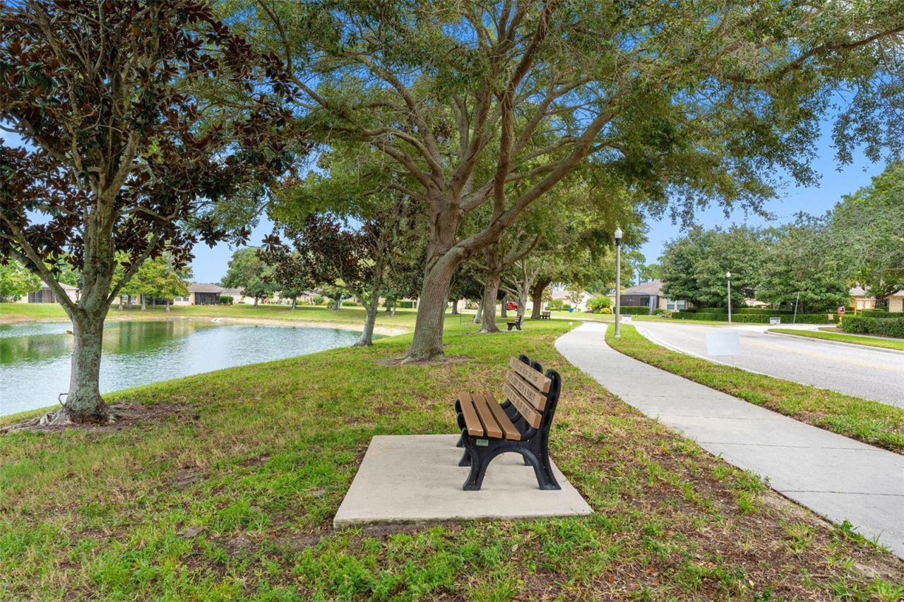 2232 Parrot Fish Drive, Holiday, FL 34691 Photo