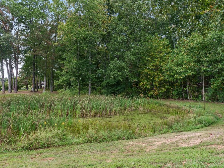 Property Image 69