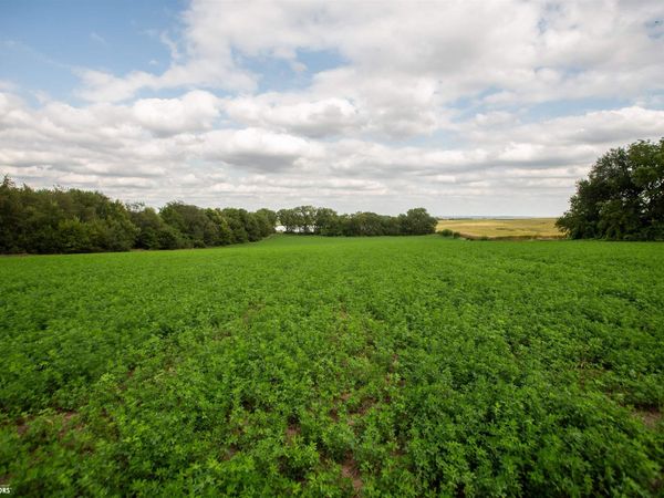 TBD Main Street, Sidney, IA 51652