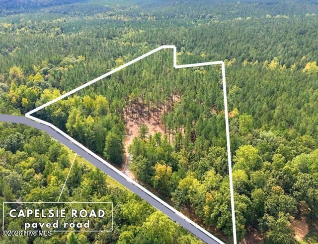 Lot 1 Capelsie Road, Candor, NC 27229 Main Photo