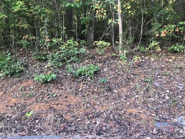 LOT 1 STONEBROOK COVE DRIVE, Jasper, AL 35504