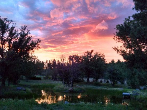 Pinedale, AZ 85934