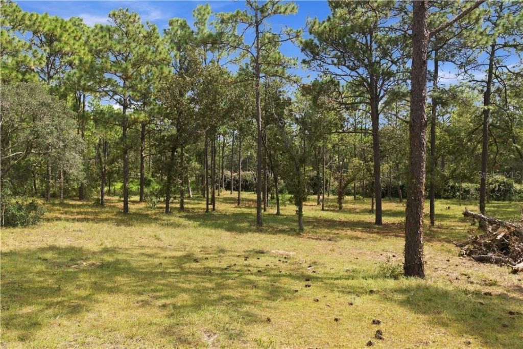 7590/7530 N Caesar Point, Dunnellon, FL 34433 Photo