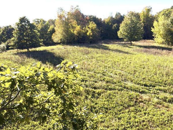 McCain Road, Spring Arbor, MI 49283