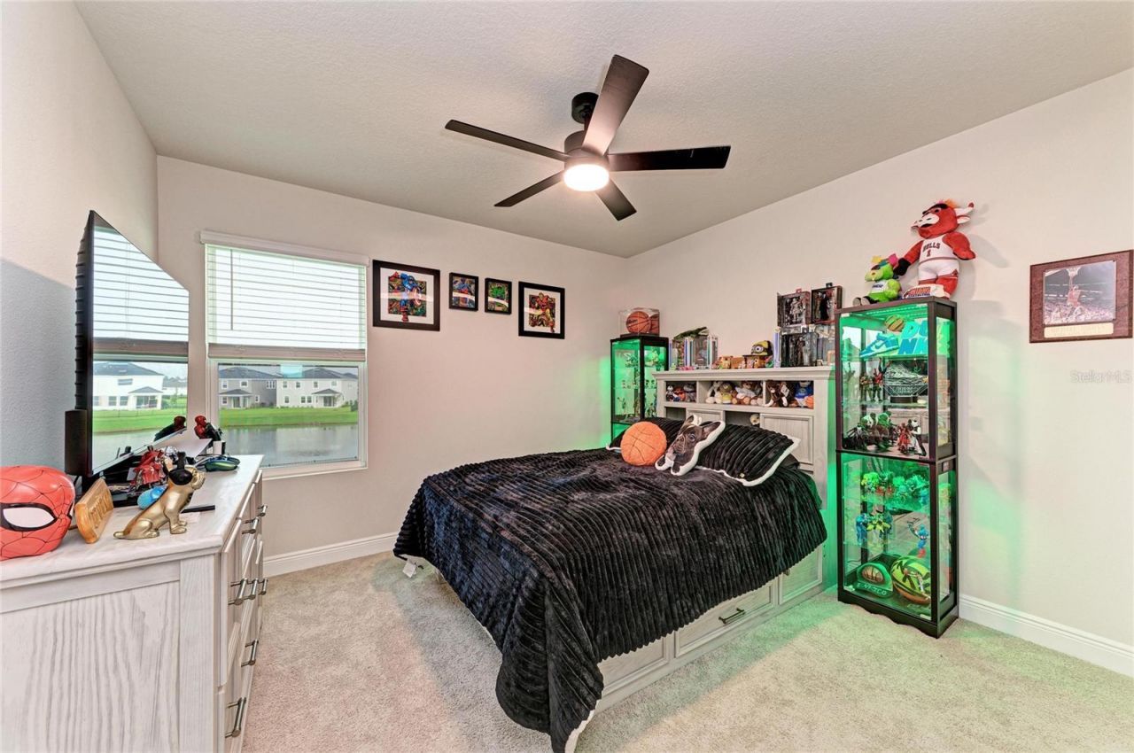 18211 Thistleberry Place , Lakewood Ranch, FL 34211 Photo