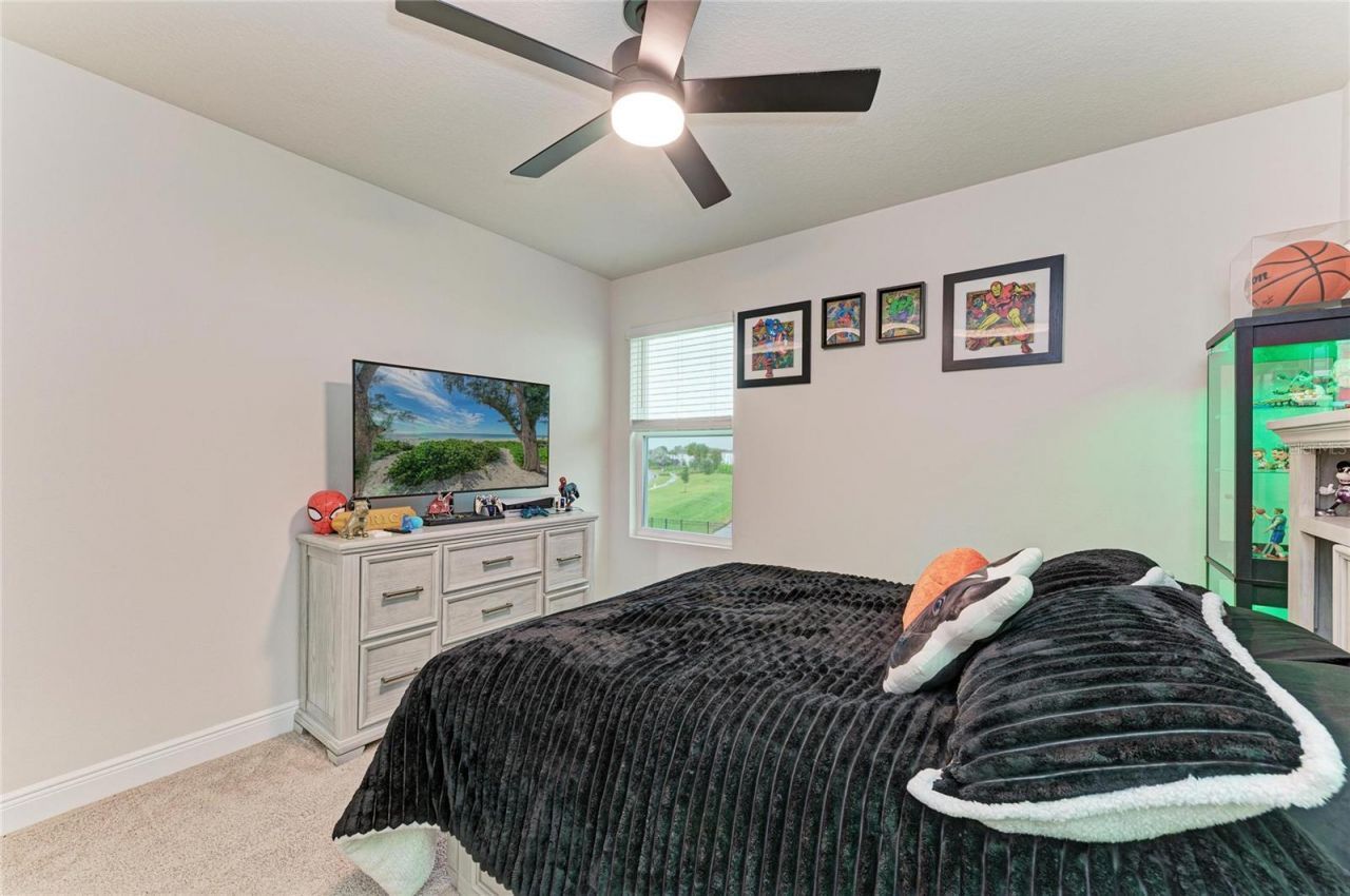 18211 Thistleberry Place , Lakewood Ranch, FL 34211 Photo