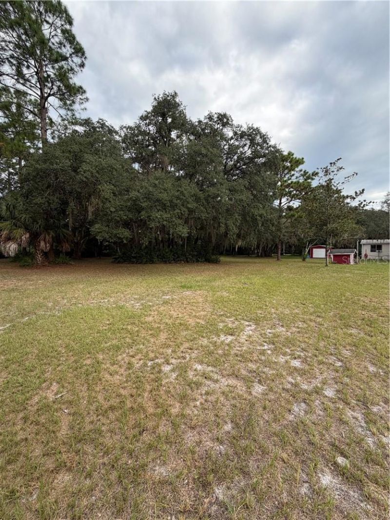 26 Sapp Street , Inglis, FL 34449 Photo