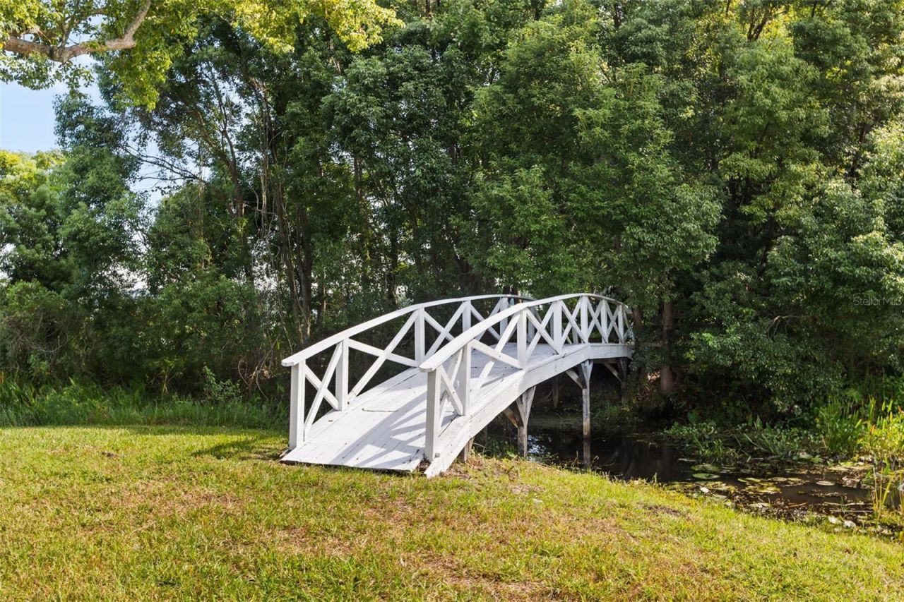 7703 Sadler Road, Mount Dora, FL 32757 Photo