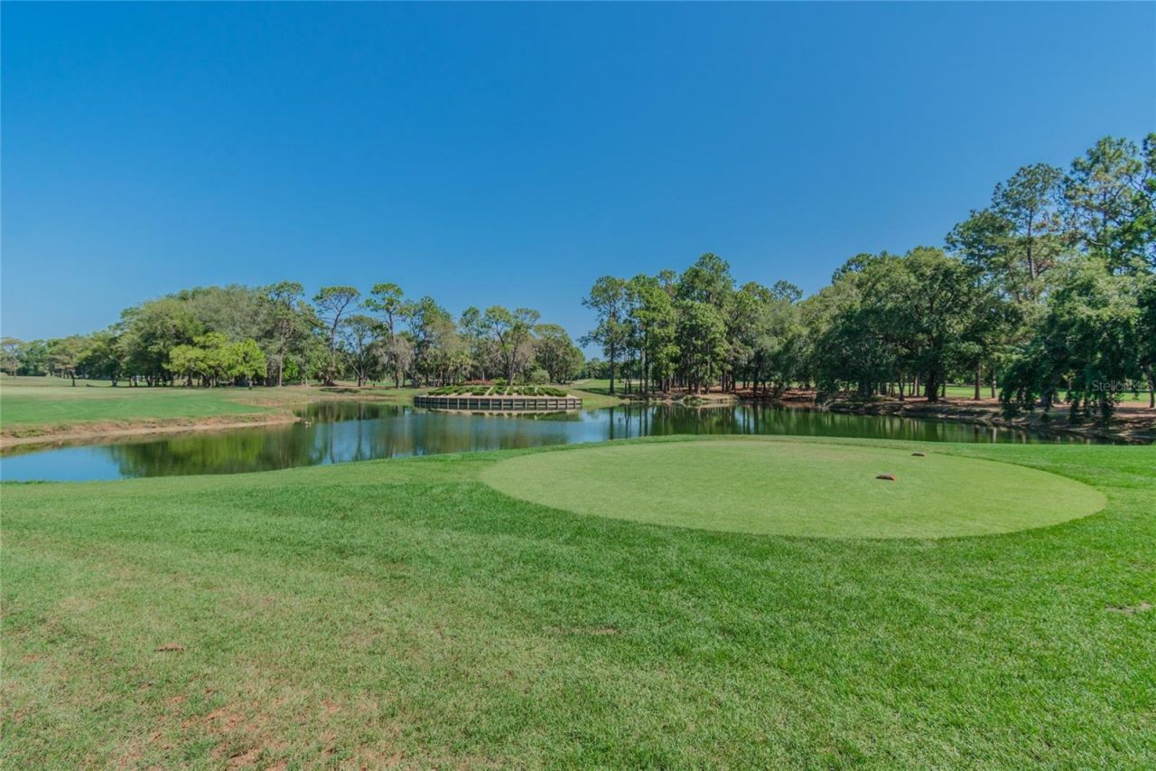 4350 Sunstate Drive , Unit 4, New Port Richey, FL 34652 Photo