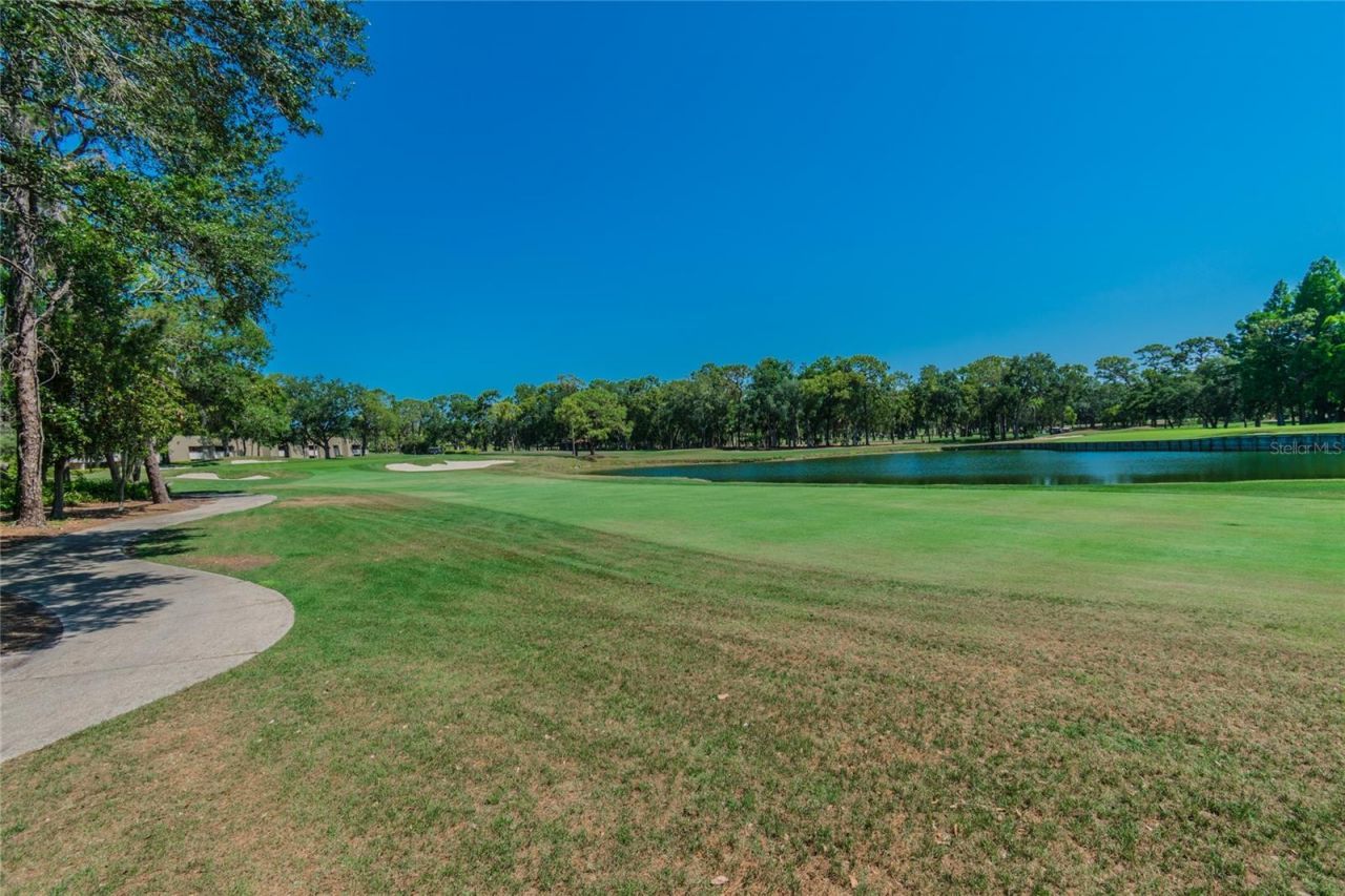 4350 Sunstate Drive , Unit 4, New Port Richey, FL 34652 Photo