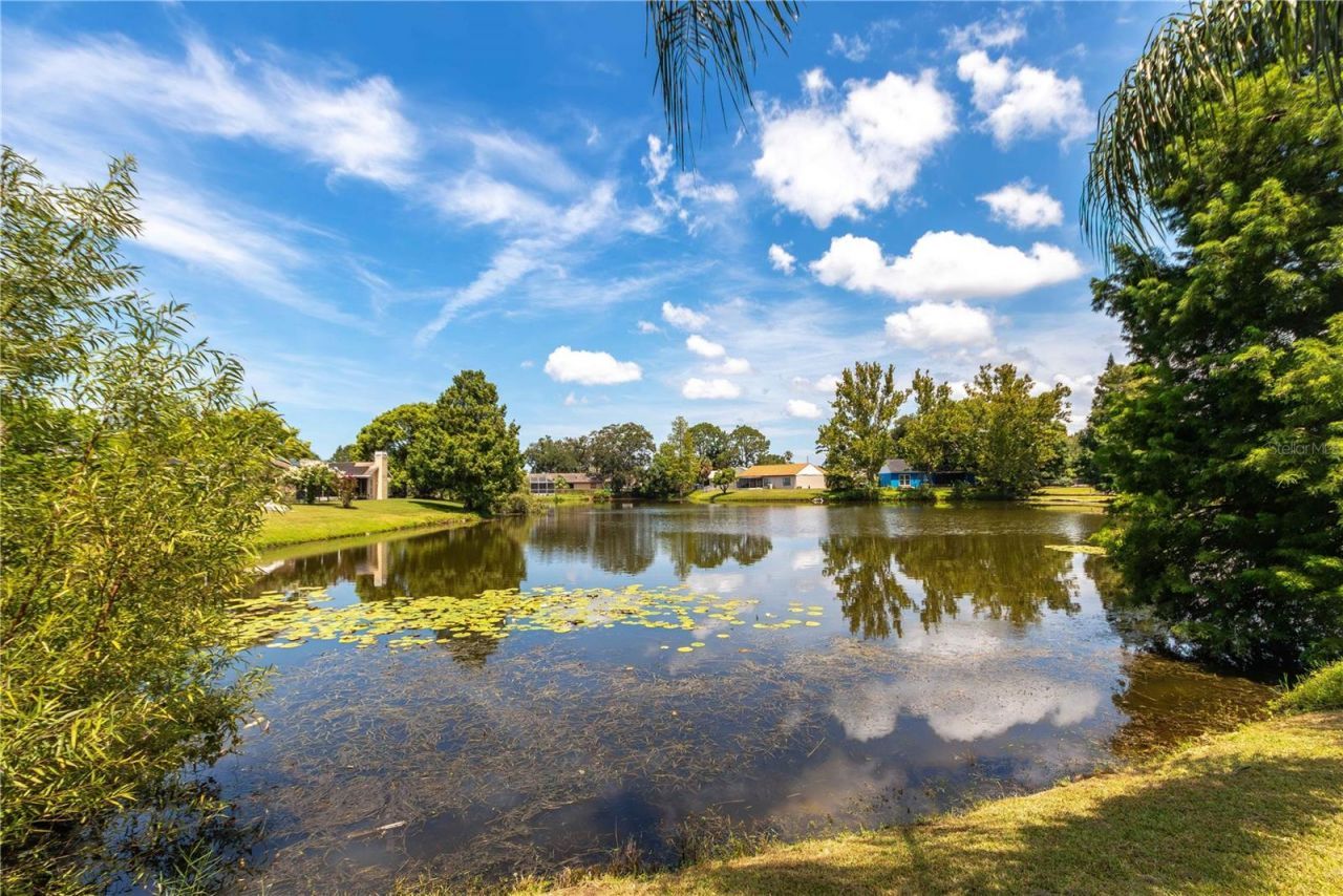 4311 County Breeze Drive , New Port Richey, FL 34653 Photo