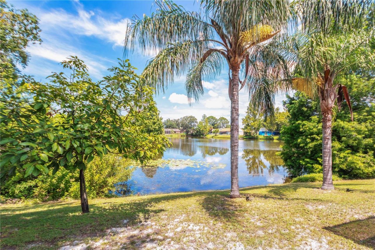 4311 County Breeze Drive , New Port Richey, FL 34653 Photo
