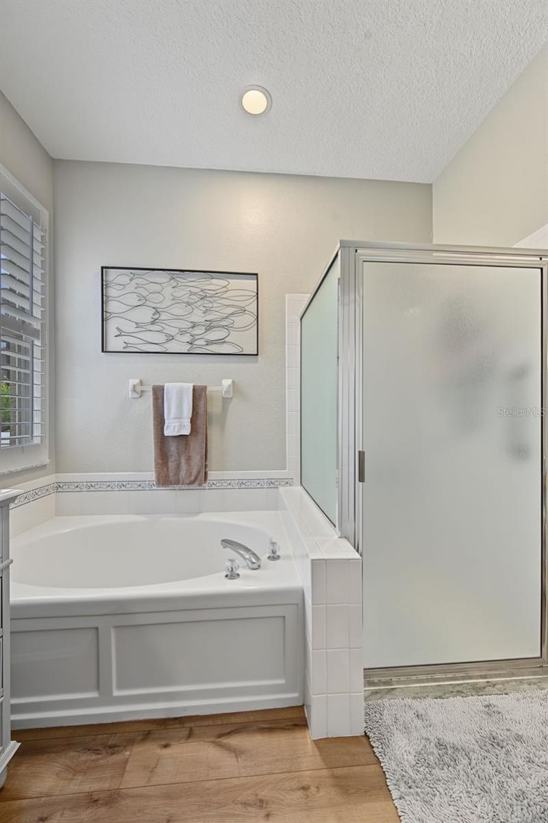 10440 Tecoma Drive, Trinity, FL 34655 Photo