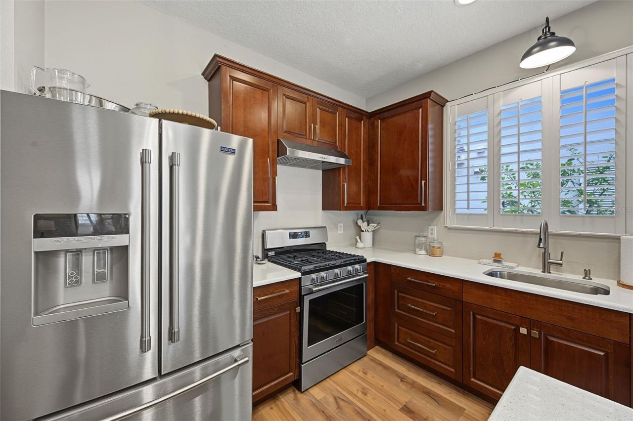 10440 Tecoma Drive, Trinity, FL 34655 Photo