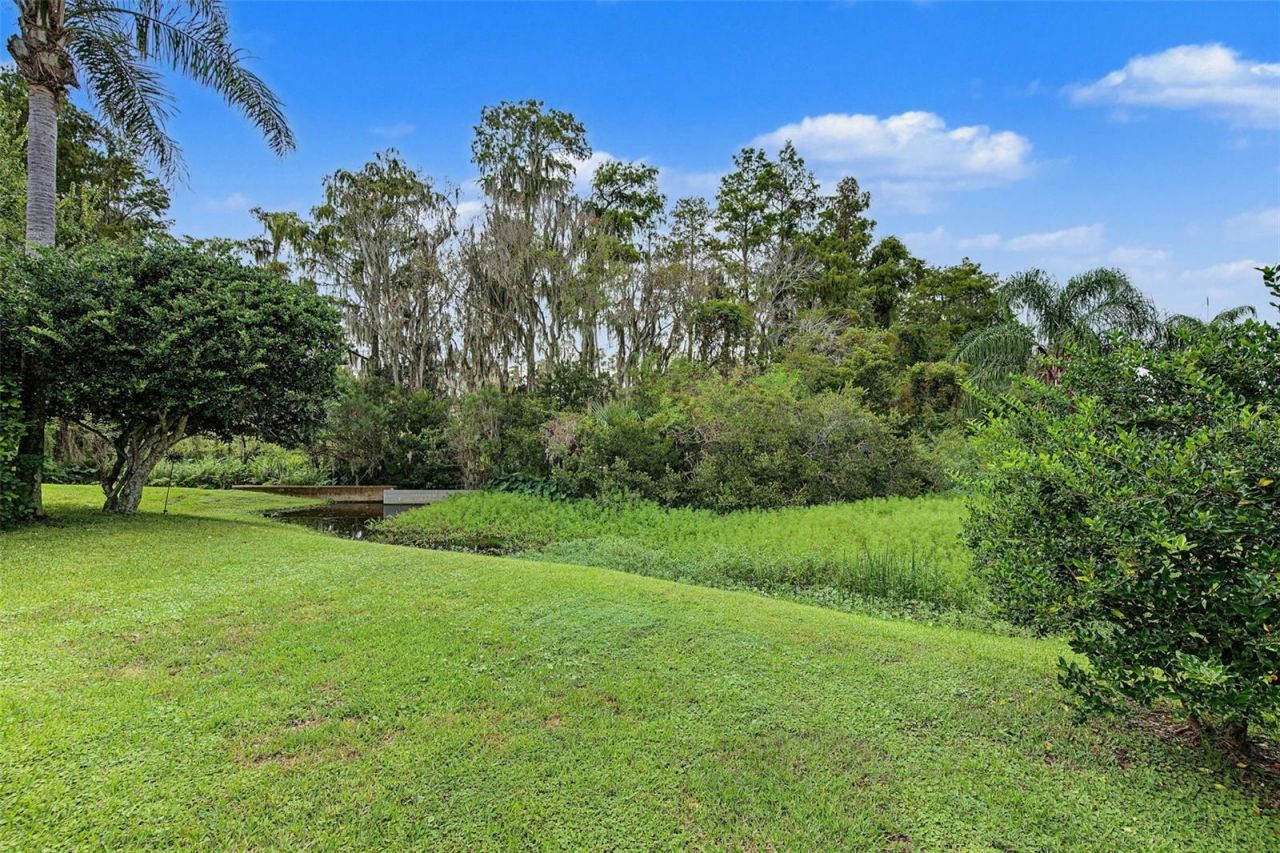 10440 Tecoma Drive, Trinity, FL 34655 Photo