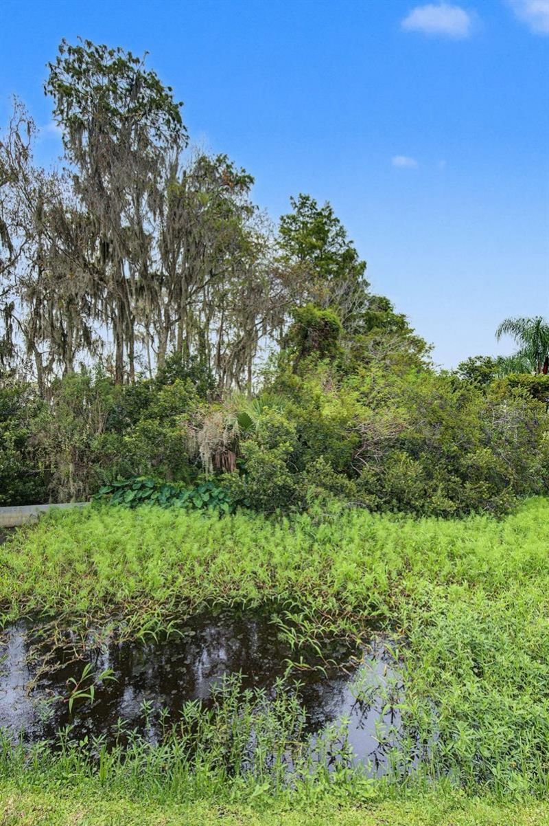 10440 Tecoma Drive, Trinity, FL 34655 Photo