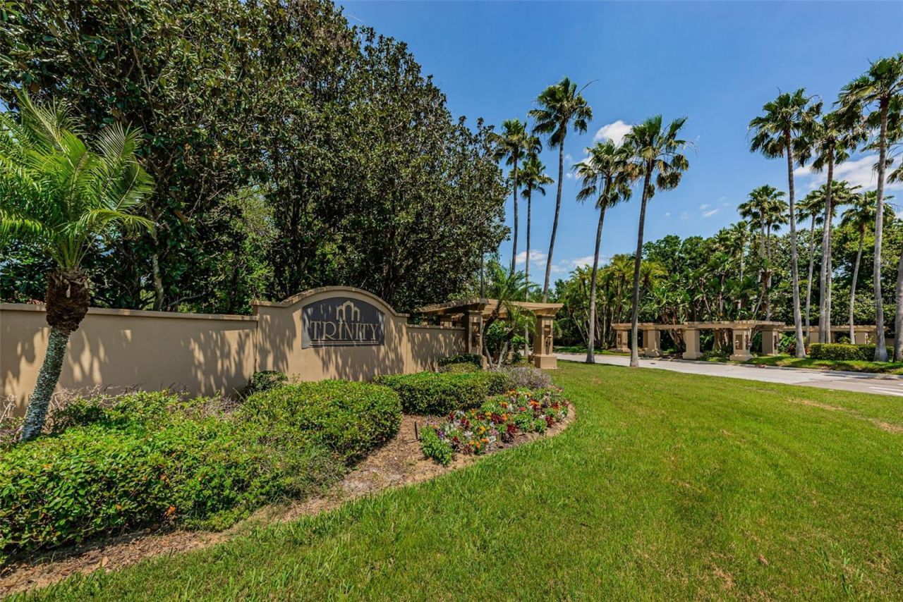 10440 Tecoma Drive, Trinity, FL 34655 Photo