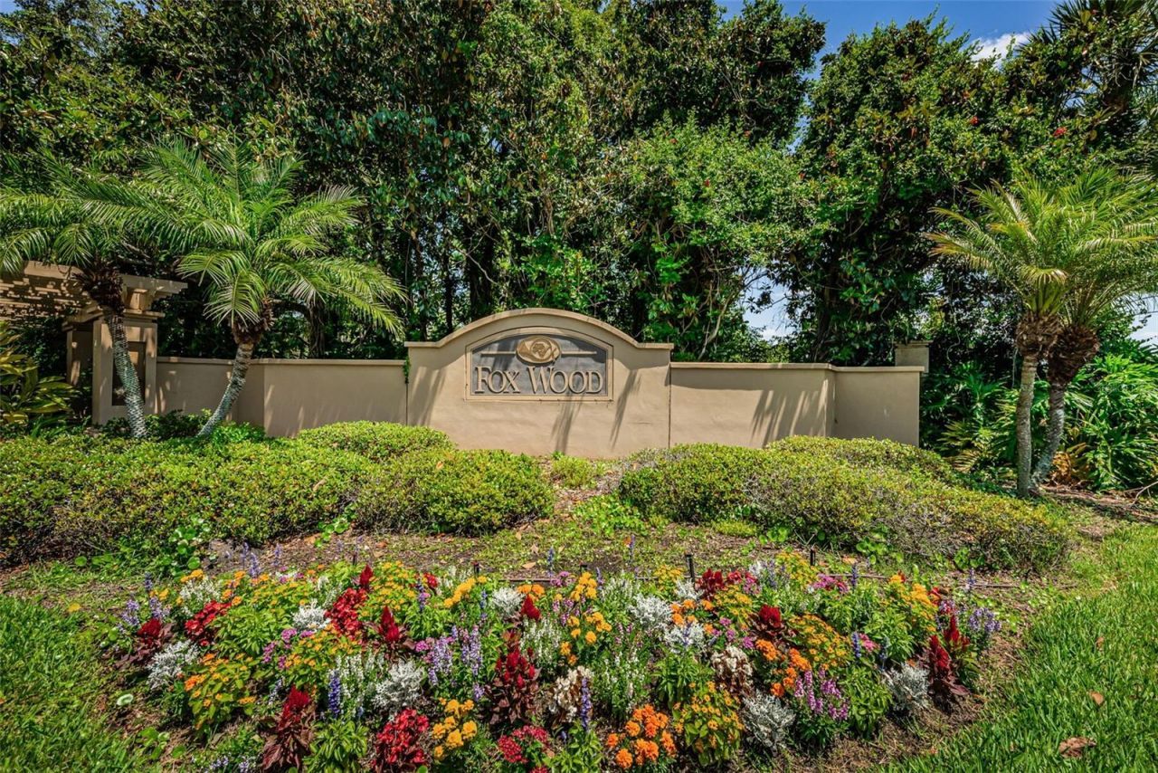 10440 Tecoma Drive, Trinity, FL 34655 Photo