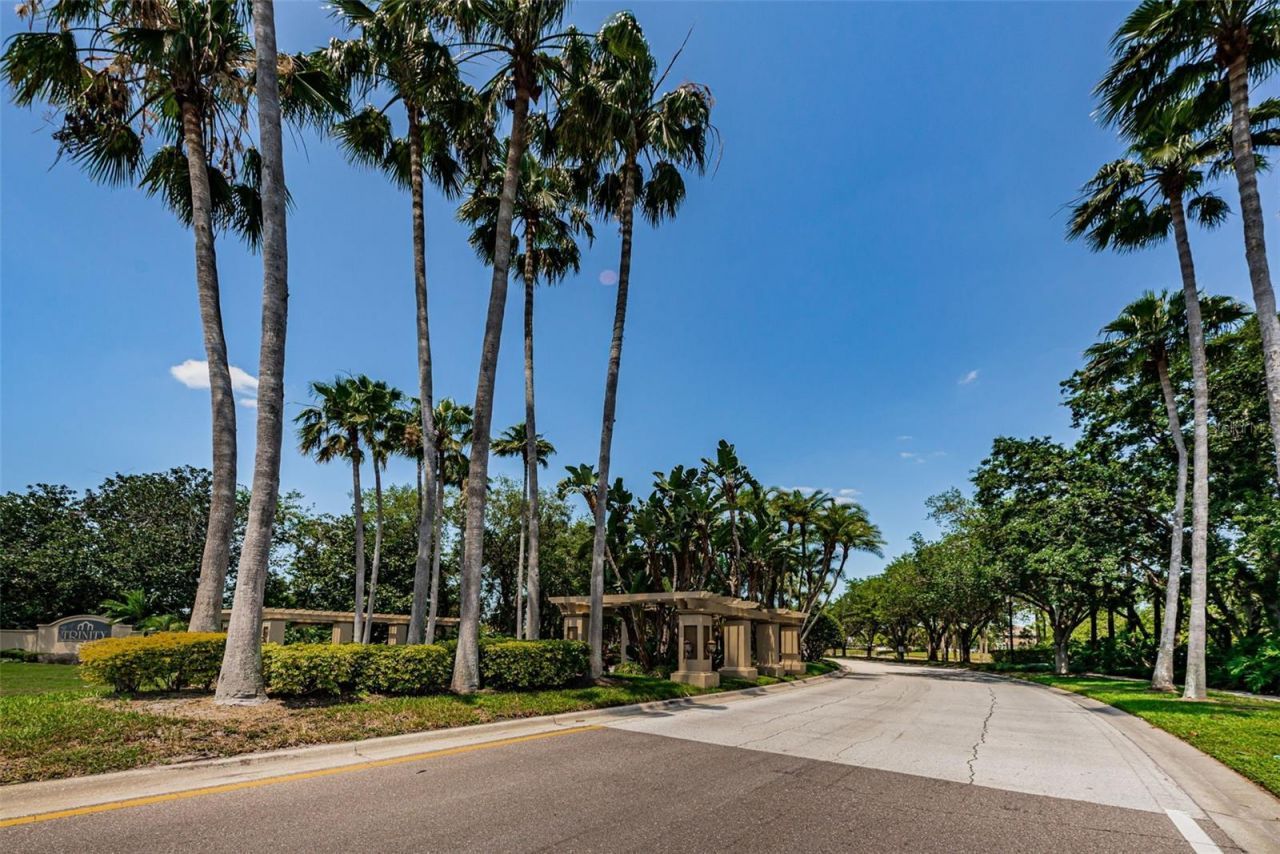 10440 Tecoma Drive, Trinity, FL 34655 Photo