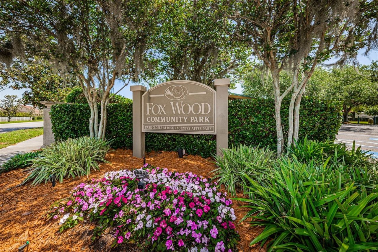 10440 Tecoma Drive, Trinity, FL 34655 Photo