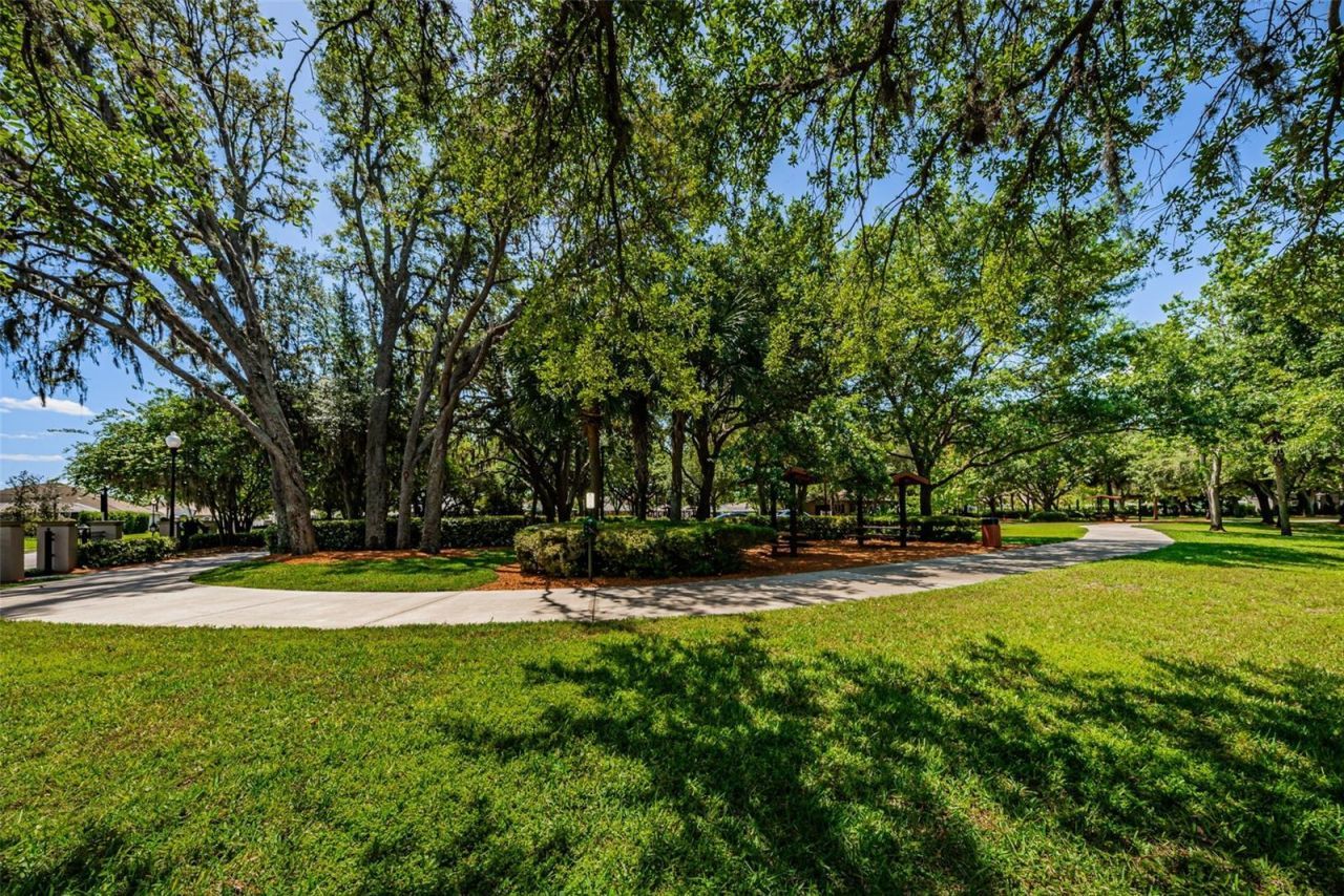 10440 Tecoma Drive, Trinity, FL 34655 Photo